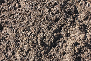 Soils and Potting Mix