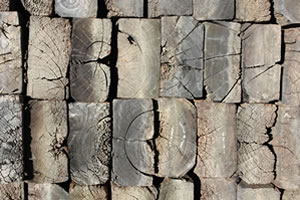 Timber